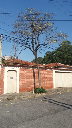 Casa Padrão venda Jd Rosa Maria São Paulo 2187424 Casa Padrão venda Jd Rosa Maria São Paulo