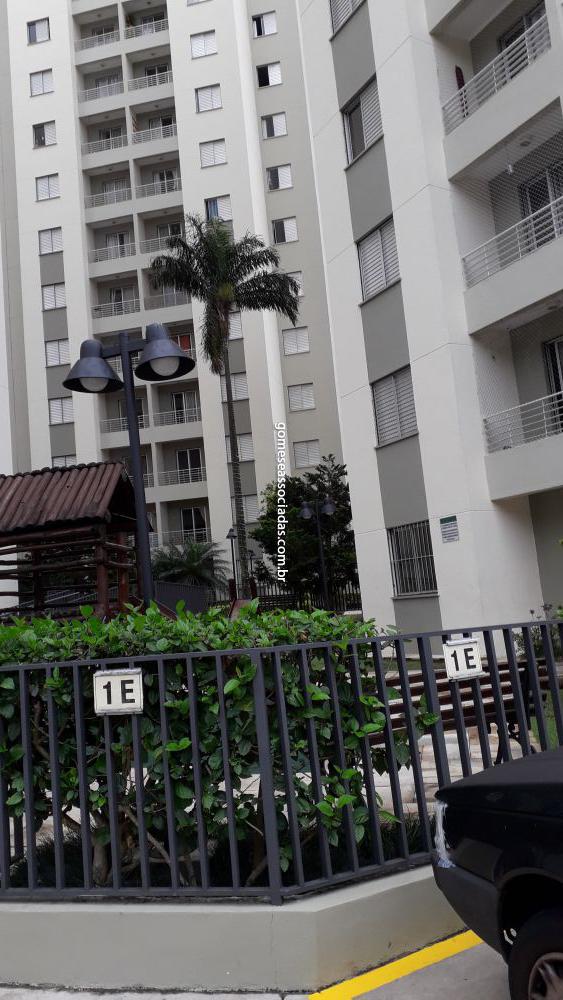 Apartamento aluguel Jardim Monte Alegre São Paulo 2223053 Apartamento aluguel Jardim Monte Alegre São Paulo