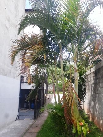 Apartamento para alugar na Av. Circular CDHU EDUCANDÁRIO - 2019.02.21-11.44.25-15.jpg