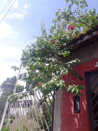 Apartamento para alugar na Av. Circular CDHU EDUCANDÁRIO - 2019.02.21-11.44.25-18.jpg