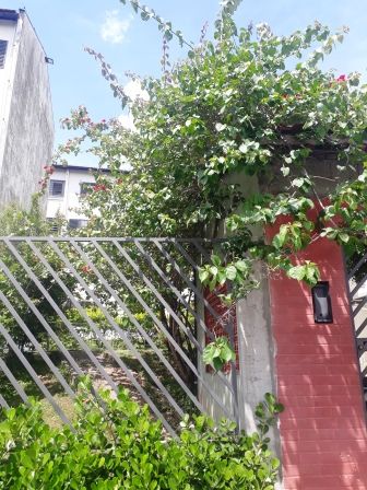 Apartamento para alugar na Av. Circular CDHU EDUCANDÁRIO - 2019.02.21-11.44.25-19.jpg