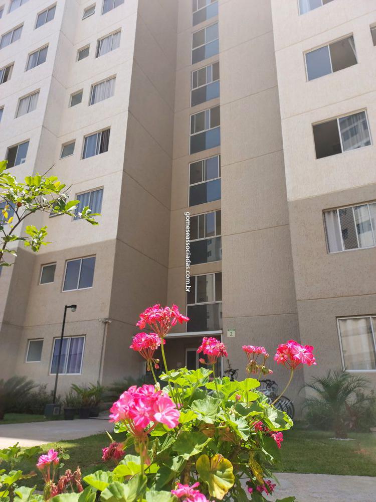 Apartamento aluguel Jardim Boa Vista (Zona Oeste) - Referência 2066