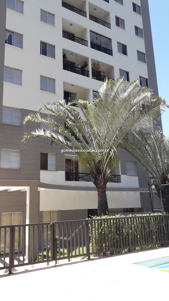 Apartamento Jardim Esmeralda 3 dormitorios 1 banheiros 1 vagas na garagem